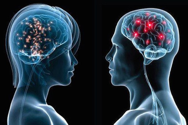 20 отличий между мозгом мужчин и женщин