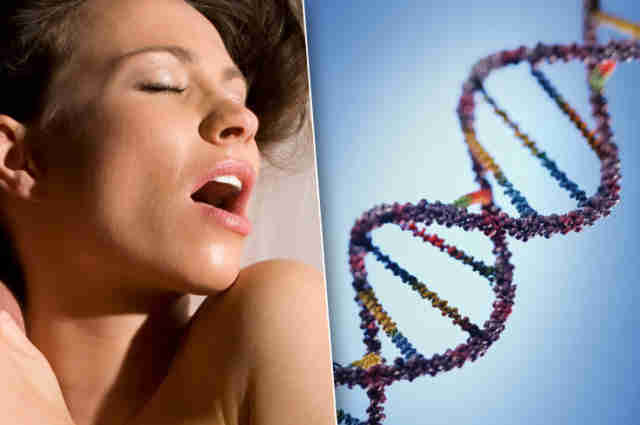 Как гены влияют на оргазм и еще 6 неожиданных фактов о генетике