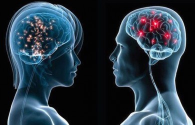 20 отличий между мозгом мужчин и женщин